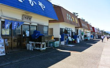 初島 磯料理店